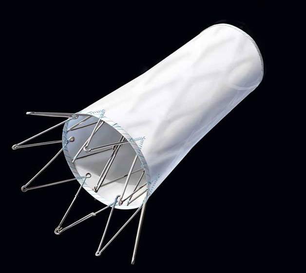 Linda Nye Visualizing Nature