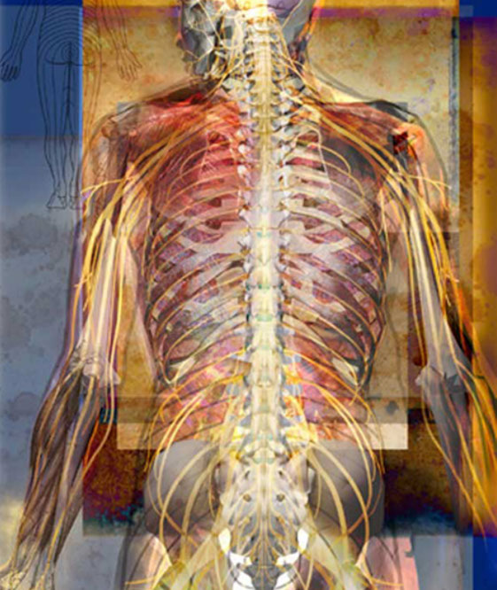 Linda Nye Visualizing Nature