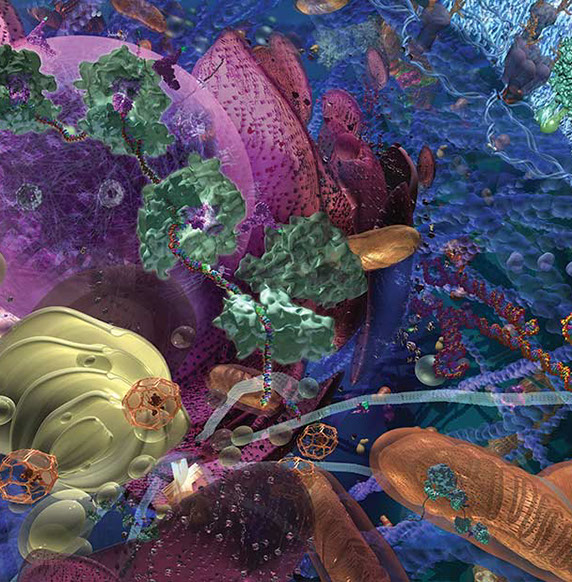 BIO commissioned me to create this mural for their main office lobby in Washington, D.C. It is called “Life Mach