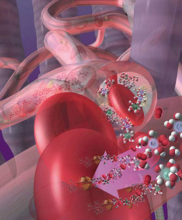 Product brochure explaining Penta Water's circulation and hydration of red blood cells. Linda Nye Visualizing Nature