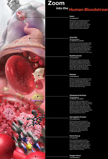 Exporatorium:&nbsp;&nbsp; Zoom into the Bloodstream Zoom into the Bloodstream&nbsp; Awarded First Place in the Illustration category of the 2008 National Scie