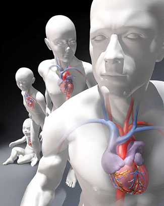 3D model cover illustration on how best to educate congenital heart patients about their condition and care. Linda Nye Visualizing Nature 