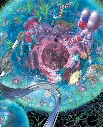 The cell is shown at the beginning of mitosis. The newly divided centrosomes start to move apart while the nuclear membrane breaks down and the 