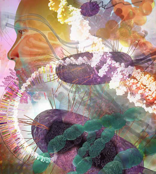 3D model collage for company brochure identification the essential genes in key pathogens genomics. Linda Nye Visualizing Nature