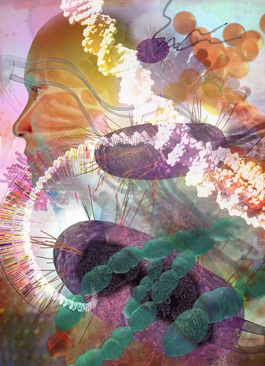 3D model collage for company brochure identification the essential genes in key pathogens genomics. Linda Nye Visualizing Nature