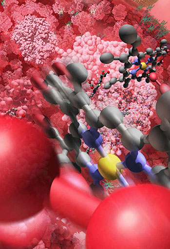 Exporatorium:&nbsp;&nbsp; Zoom into the Bloodstream The interior of a blood cell is filled with hemoglobin proteins. One hemoglobin protein holds four he