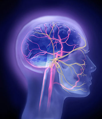 Axert selective serotonin receptor agonists is used to treat the symptoms of migraine headaches. Linda Nye Visualizing Nature