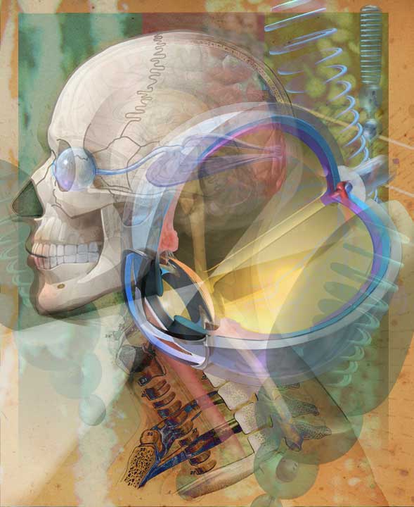 The brain's eye, and visual structures. This image has many variations available.
