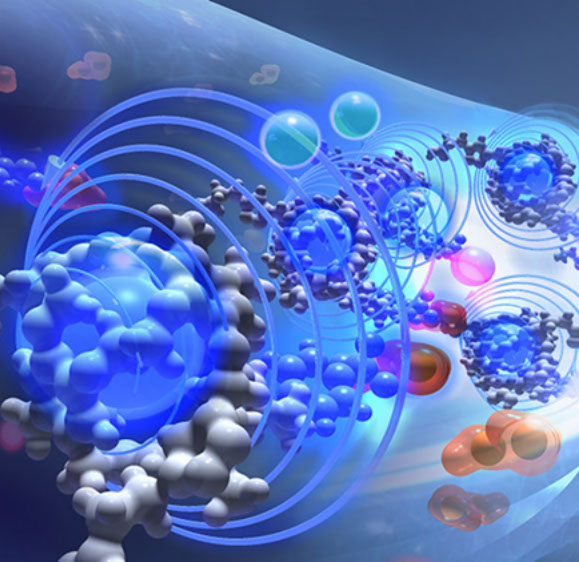 The xenon sensor consists of a cryptophane cage of which a xenon atom can exchange, which is linked to a binding peptide specific to the target.