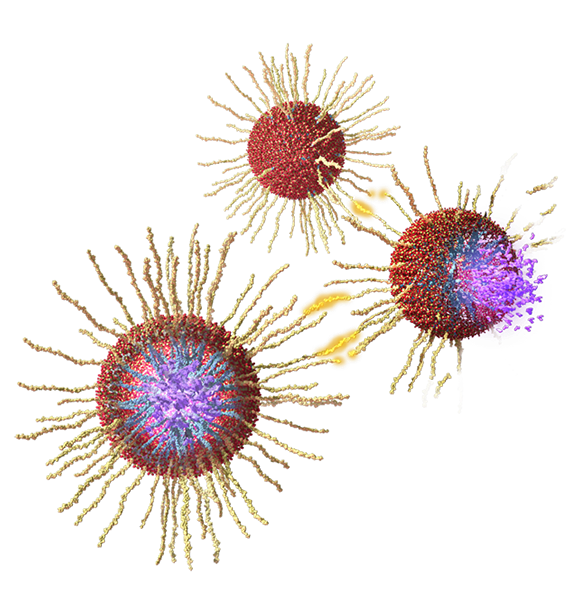 Peptides are incorporate into a silica-based nanoparticle package holding a small amount of an anti-cancer drug. Linda Nye Visualizing Nature