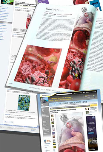 Awarded First Place in the Illustration 2008 National Science Foundation (NSF) and Science’s International Science and Engineeri