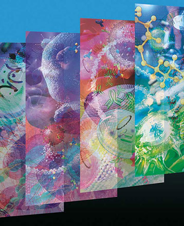 Interior graphic panels for the UCSD Biomedical Library. Linda Nye Visualizing Nature