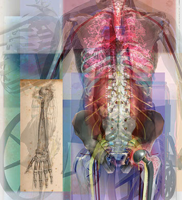One of a series of collage illustrations for Ingenix Medical Code book covers