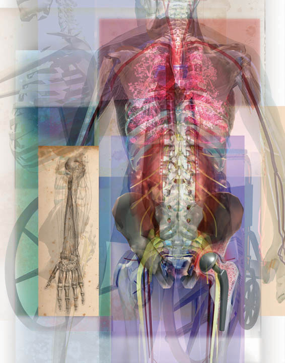 Linda Nye Visualizing Nature