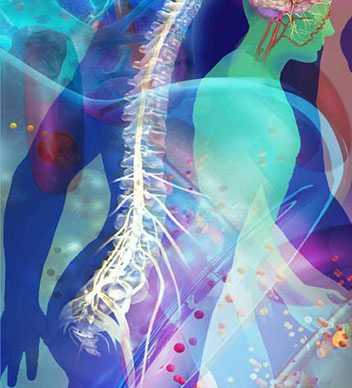 Detail from fabric panel installation of spine, brain, neurons and synapses...