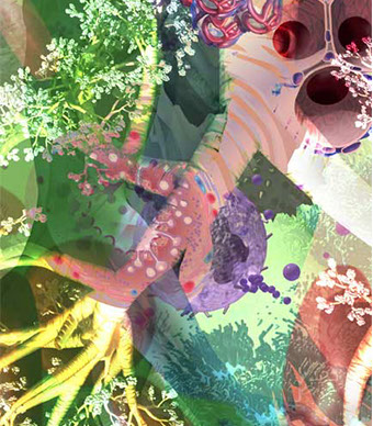 Lung bronchi, bronchioles and mast cells...