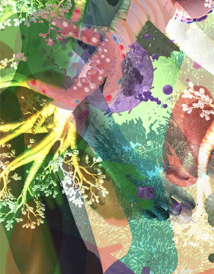 Panel detail from UP/DOWN from the UCSD Biomedical Library. Linda Nye Visualizing Nature