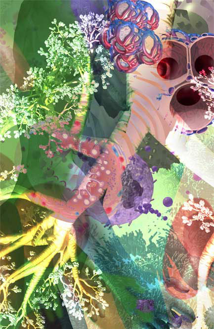 Lung bronchi, bronchioles and mast cells...