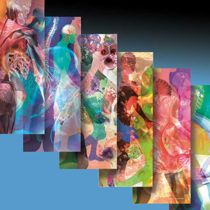 Interior graphics done for the UCSD Biomedical Library. Linda S. Nye. Visualizing Nature.