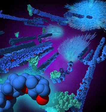 Pentastarch molecules in I.V. infusion raise plasma volume, broken down by amylase. Linda Nye Visualizing Nature