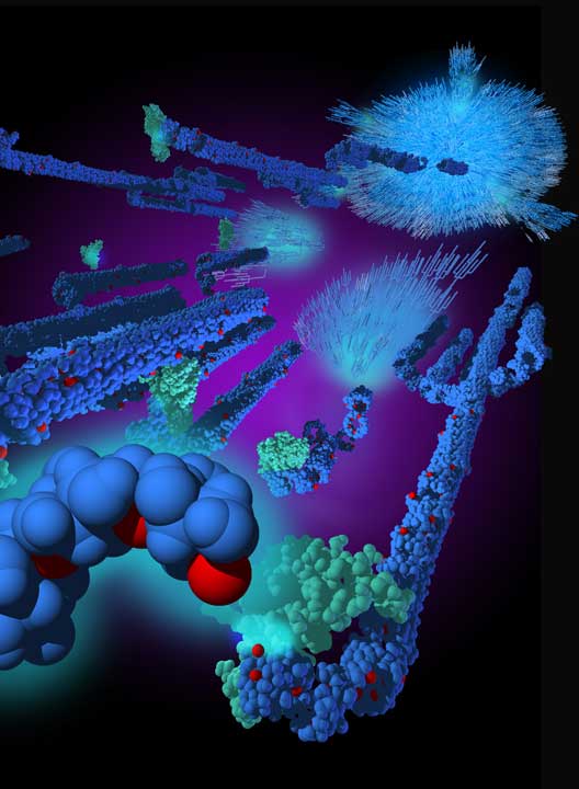 Pentastarch molecules in I.V. infusion raise plasma volume, broken down by amylase. Linda Nye Visualizing Nature