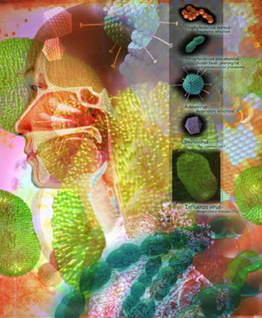 3D model collage on the causes of respiratory infections and pneumonia