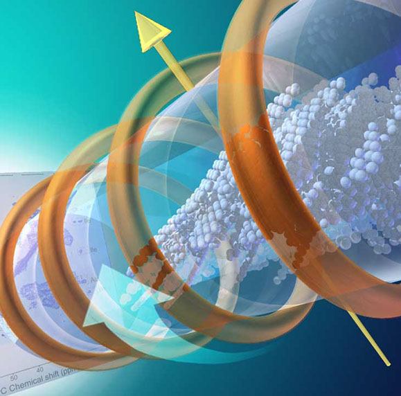 &nbsp;field of solid state NMR (SSNMR), pulse sequences for higher resolution received from solid-state samples: protein structures and biofilms