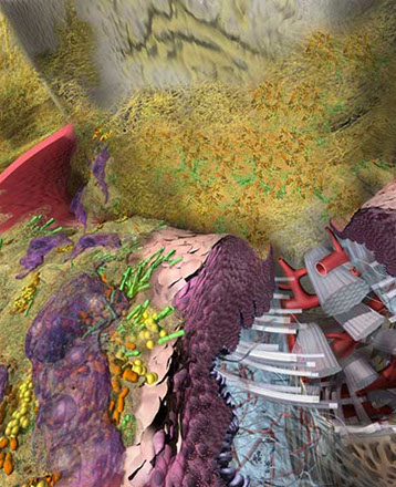 "Them", an Discovery Center exhibit on microbes that cause disease. This panel focuses on the bacteria that stick to teeth causing tooth decay, 