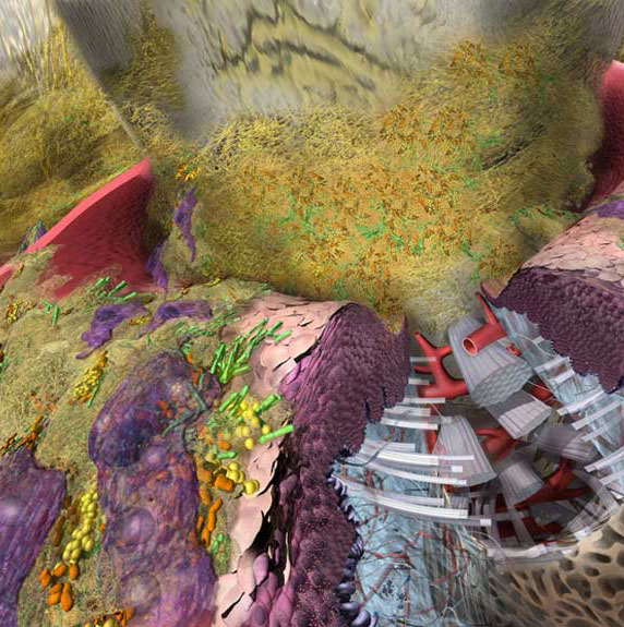 "Them", an Discovery Center exhibit on microbes that cause disease. This panel focuses on the bacteria that stick to teeth causing tooth decay, 