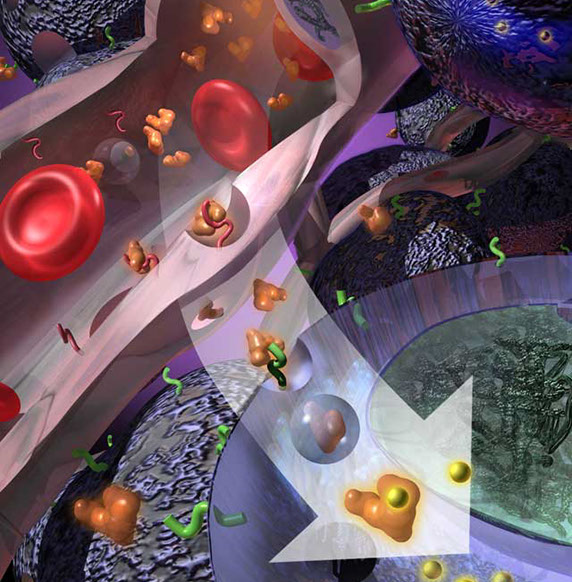 Article on a Nanoparticle albumin-bound technology to deliver anti-caner therapy to cancer cells. Linda Nye Visualizing Nature